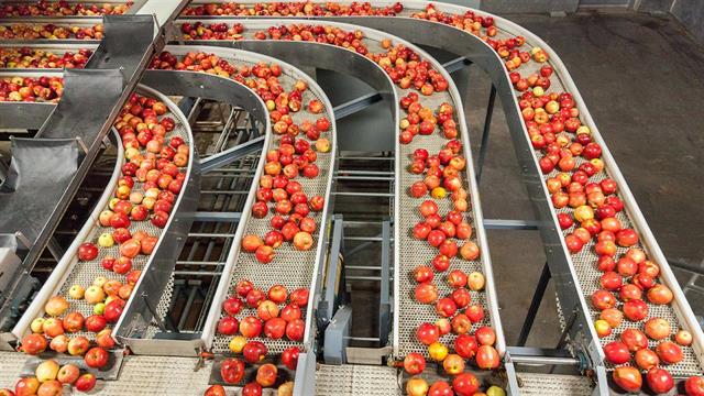 Αύξηση 14% στις ελληνικές εξαγωγές τροφίμων-ποτών στη Γερμανία το 2020