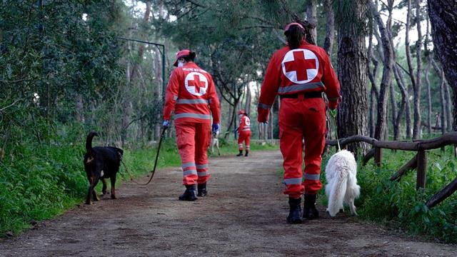 Ο Ελληνικός Ερυθρός Σταυρός στηρίζει τα αδέσποτα του Φιλοζωικού Συλλόγου Νέας Φιλαδέλφειας