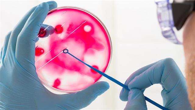 Ισραηλινοί επιστήμονες έσπασαν το ρεκόρ ανάπτυξης εμβρύου ποντικού εκτός μήτρας