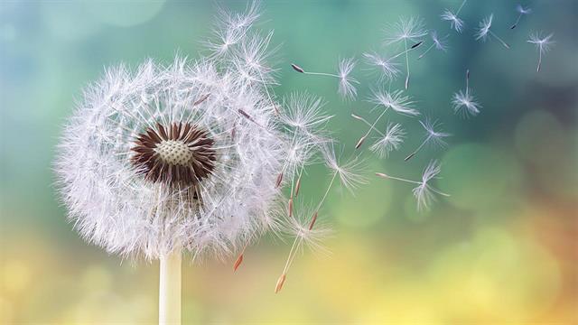 Μύθοι και αλήθειες για τις αλλεργίες