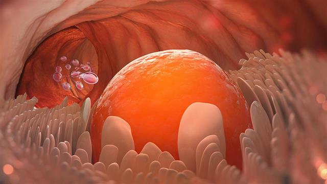 Η ηλικία της γυναίκας είναι κρίσιμη για το τελικό στάδιο της ωρίμανσης και της ποιότητας των ωαρίων