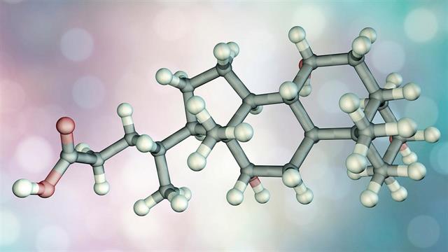 Ανακαλύφθηκε νέος ρόλος των χολικών οξέων