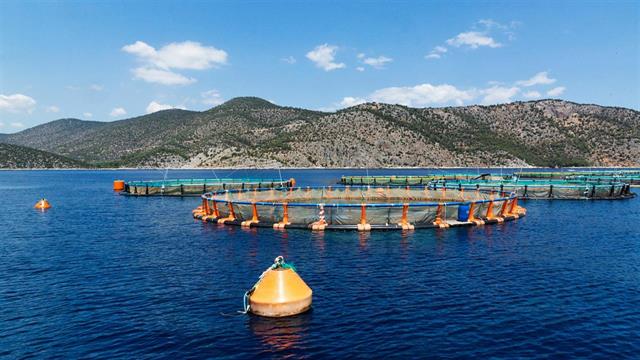 Τιμητική διάκριση για την ΕΛΟΠΥ στο 7ο Συμπόσιο Ιατρικού Τουρισμού Υγείας και Ευεξίας