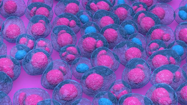 Έλληνες ερευνητές οδήγησαν στην έγκριση νέου θεραπευτικού σχήματος για το πολλαπλό μυέλωμα