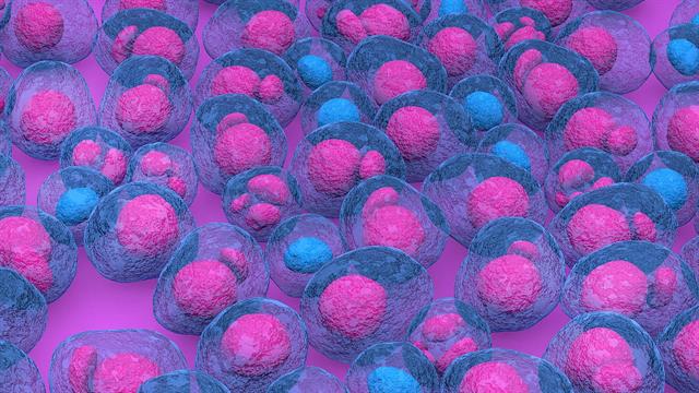 Hadassah: Αναπτύσσει ανοσοθεραπεία για το πολλαπλό μυέλωμα