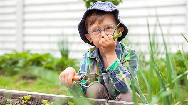 Αλλοτριοφαγία: Τι είναι και πώς αντιμετωπίζεται