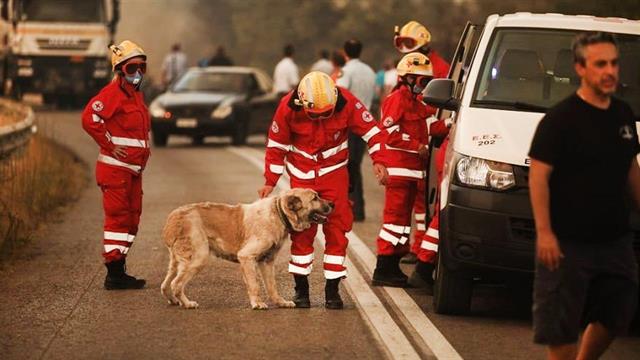 Ολονύχτια συνδρομή του ΕΕΣ στο μέτωπο της φωτιάς στη Βαρυμπόμπη
