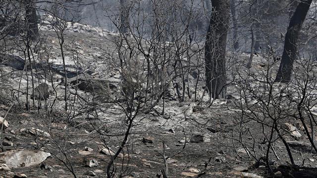 ΕΟΠΥΥ: Διευκολύνσεις στην παροχή φαρμάκων και στην περίθαλψη για τους πυρόπληκτους