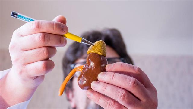 Σύνδρομο Cushing: Ποιοι παράγοντες βοηθούν στη διαχείρισή του;