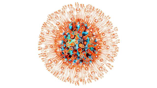 Πιθανή σχέση έρπητος και νευροεκφυλιστικών νόσων