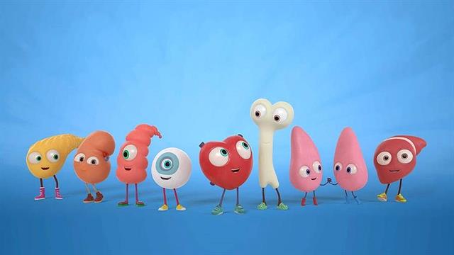 Πανελλήνια Ημέρα Δωρεάς Οργάνων και Μεταμοσχεύσεων