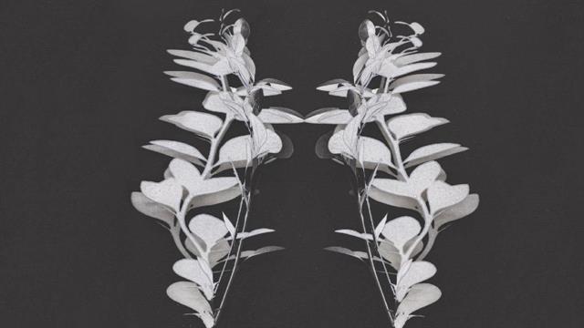 Εικαστική έκθεση «Χρόνια Νεφρική Νόσος: Μια σιωπηρή επιδημία»