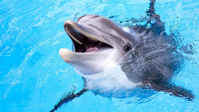 Περιβαλλοντικές Προκλήσεις: Ρύπανση και Οικολογία