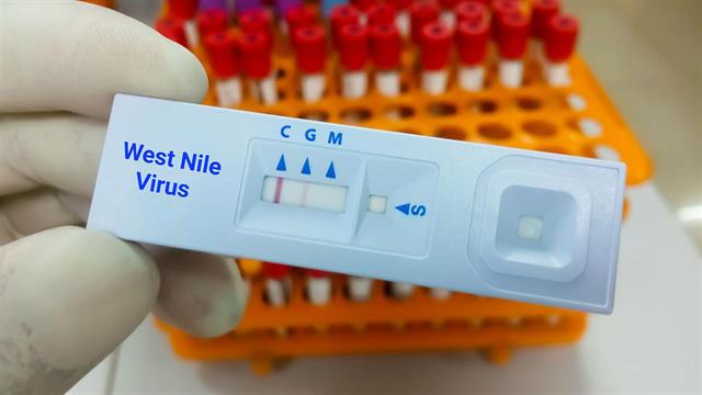 7 θάνατοι και 56 λοιμώξεις από τον ιό του Δυτικού Νείλου στην Ελλάδα [έκθεση ECDC]