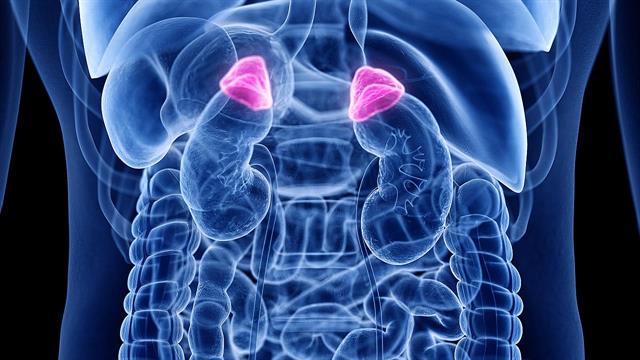 Αδένωμα επινεφριδίου: Τι πρέπει να γνωρίζουμε