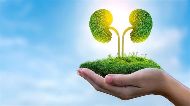 Πρωτοπαθής Υπεροξαλουρία: Η αντιμετώπιση μιας σπάνιας νόσου