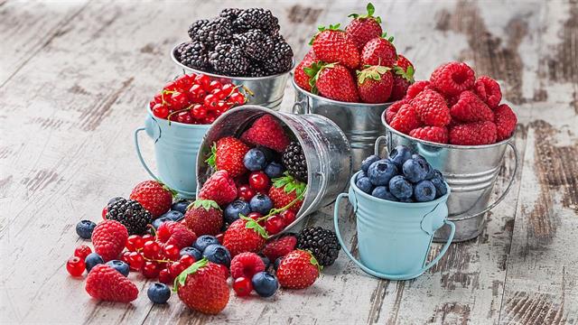 Ο ρευματολογικός ασθενής, τα βιο-ομοειδή και η διατροφή του