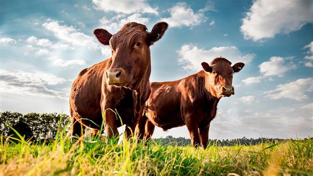 Ο μισός παγκόσμιος πληθυσμός είτε τρώει παραπάνω είτε λιγότερο