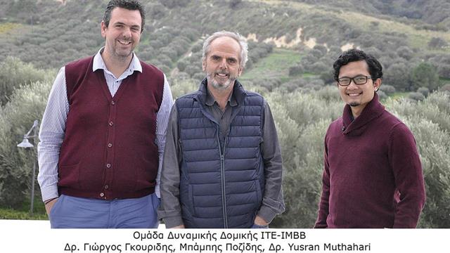 Διεθνής συνεργασία του ΙΤΕ για την ικανότητα δομικών μεταβολών των πρωτεϊνών