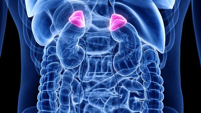 Τι πρέπει να γνωρίζουμε για τον καρκίνο του φλοιού των επινεφριδίων