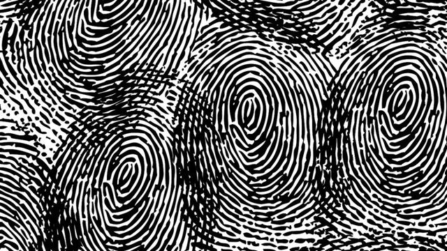 Εντοπίστηκαν γονίδια που συνδέονται με τον σχηματισμό των δαχτυλικών αποτυπωμάτων