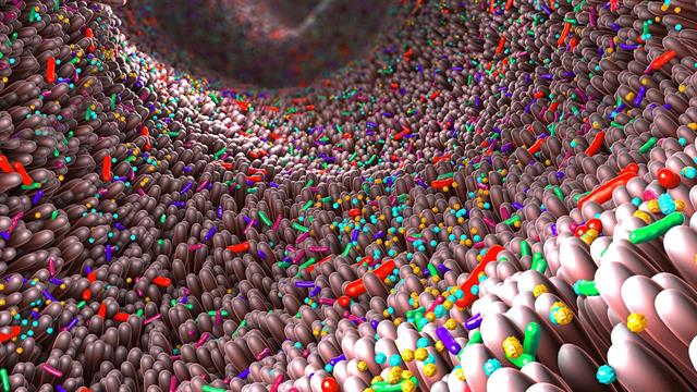 Κλεμπσιέλλα και σταφυλόκοκκος με...δόντια στην Ελλάδα - Τι αναφέρεται σε έκθεση ECDC και ΠΟΥ