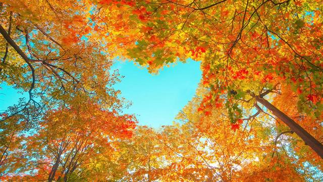 Η αγάπη για τη φύση είναι κληρονομική σε έναν βαθμό