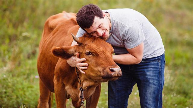Πώς το αγκάλιασμα της αγελάδας μπορεί να βοηθήσει με θέματα ψυχικής υγείας