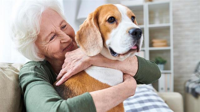 Ηλικιωμένοι με κατοικίδια μπορεί να έχουν επιβράδυνση της νοητικής εξασθένησης