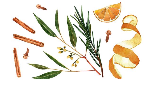 Αιθέριο έλαιο ευκαλύπτου: Ποιες είναι οι χρήσεις του;