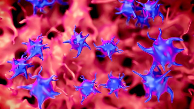 Αιμοπετάλια: Τα μικρότερα κύτταρα του αίματος είναι και μικρότερης αξίας;