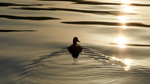 Τι αλλαγές φέρνει στη ζωή μας η υποβάθμιση των υδάτινων συστημάτων