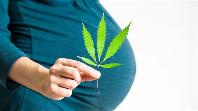 Χρήση κάνναβης στην εγκυμοσύνη συνδέεται με παχυσαρκία και αυξημένη γλυκόζη στο παιδί