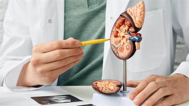 Ανθρωποι με νεφρική νόσο έχουν μεγαλύτερο κίνδυνο για καρκίνο