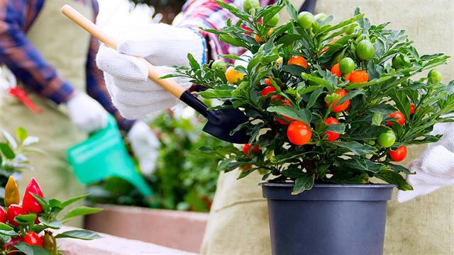 Ανθρακικό αποτύπωμα: Πώς θα το μειώσουμε μέσω της διατροφής;