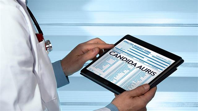 ΕΟΔΥ: Τι είναι και πώς μεταδίδεται ο μύκητας Candida auris