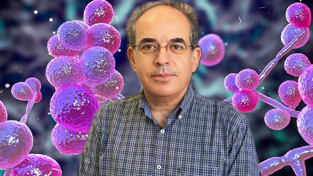 Βυζαντιάδης για Candida Auris: Πώς τον δυναμώνουν αντιβιοτικά και φυτοφάρμακα