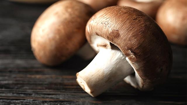 Μανιτάρια: 5 λόγοι για να τα αγαπήσουμε