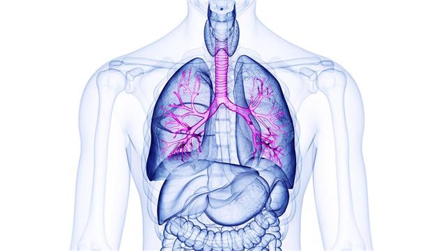 Ενδοβρογχικό υπερηχογράφημα για διάγνωση καρκίνου του πνεύμονα