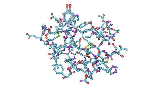 Πρώτη Ευρωπαϊκή Ημέρα Ορμονών