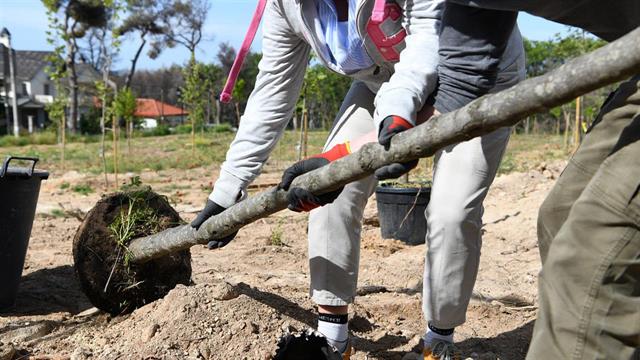 Novartis Hellas-Οργάνωση Γη: Συνεργασία για την αποκατάσταση πυρόπληκτων περιοχών στην Αττική