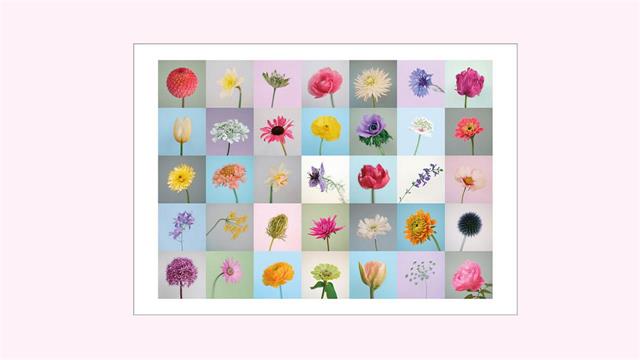 ‘’Έχεις τη φύση στο χέρι σου’’ στο Γενικό Νοσοκομείο ‘’Γεώργιος Παπανικολάου’’