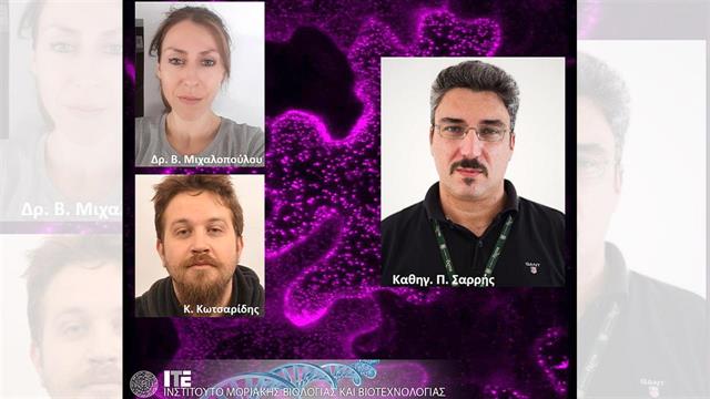 Παθογόνα βακτήρια αναστέλλουν την κυτταρική έκκριση του ξενιστή για να παρεμποδίσουν την άμυνά του