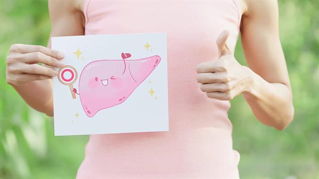 Η ηλικία του ήπατος ενός ανθρώπου μένει πάντα 3 ετών