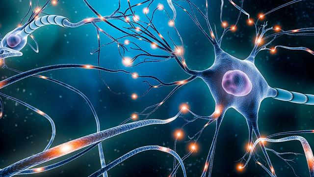 Πειραματικό φάρμακο αναστρέφει την απώλεια συνάψεων σε ποντικούς με Alzheimer