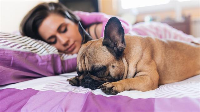 Σχεδόν οι μισοί Αμερικανοί κοιμούνται με τα κατοικίδιά τους