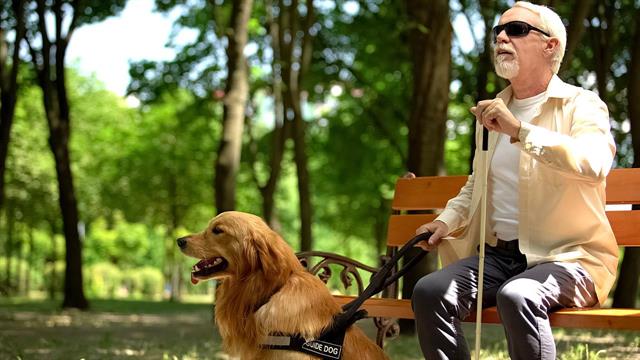 Η Liberty Guide Dogs στο Israel Guide Dog Center