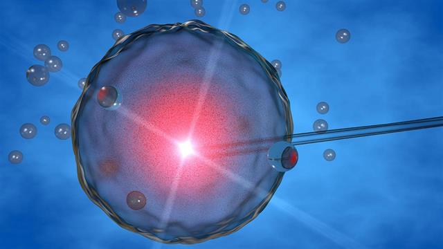 Διατήρηση της γονιμότητας - Κατάψυξη ωαρίων