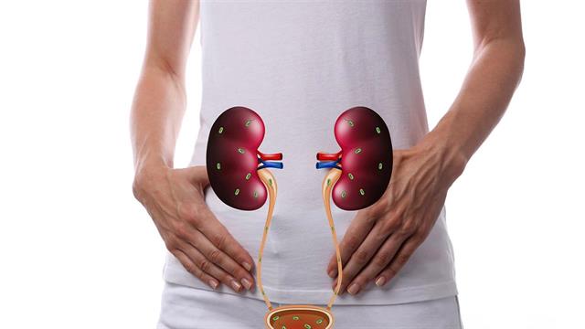 Ουρολοιμώξεις: Πού οφείλονται και πώς αντιμετωπίζονται