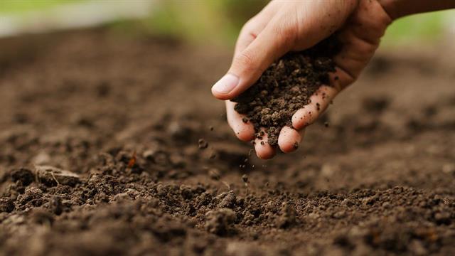 Ρυπογόνες ουσίες στο έδαφος βλάπτουν την καρδιά